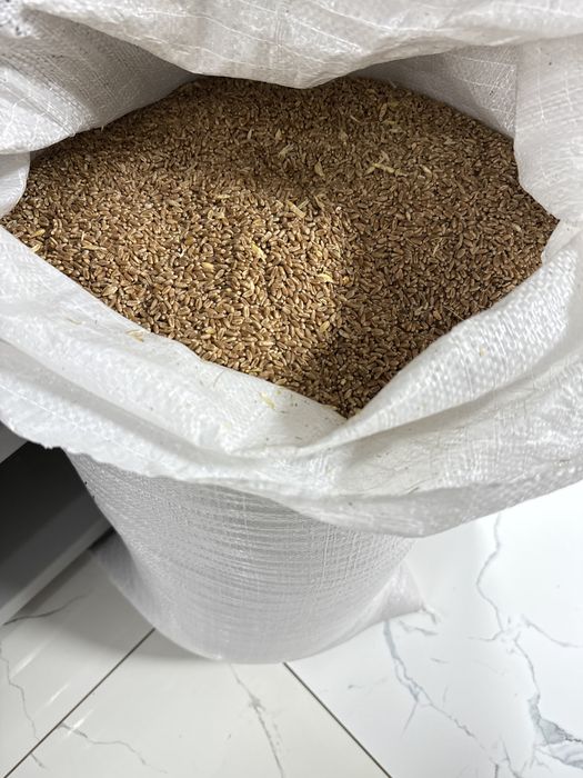 Пшеница в мешках