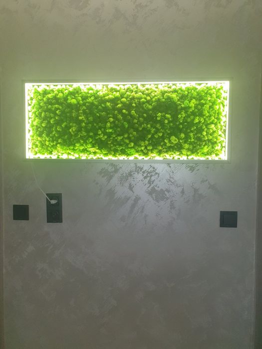 Пано от скандинавски мъх с LED осветление