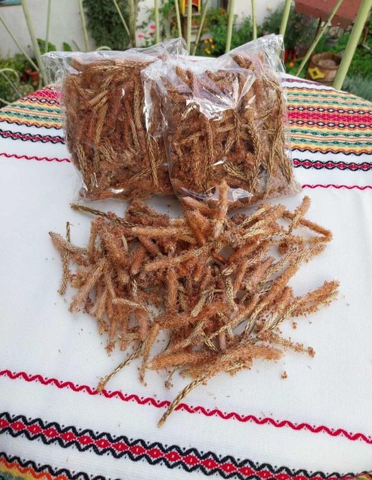 Домашно приготвен