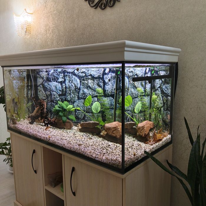 Аквариум на 250 литров.