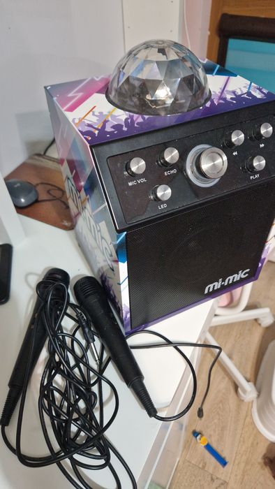 Mi mic система със 2 микрофона