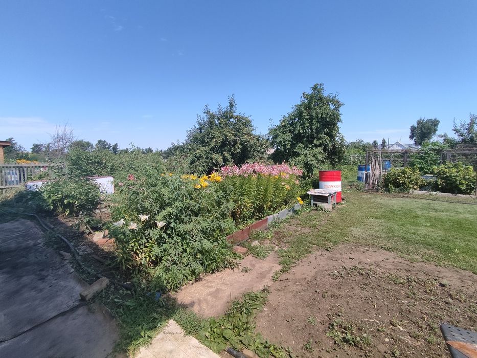 Продается дача, Сады1