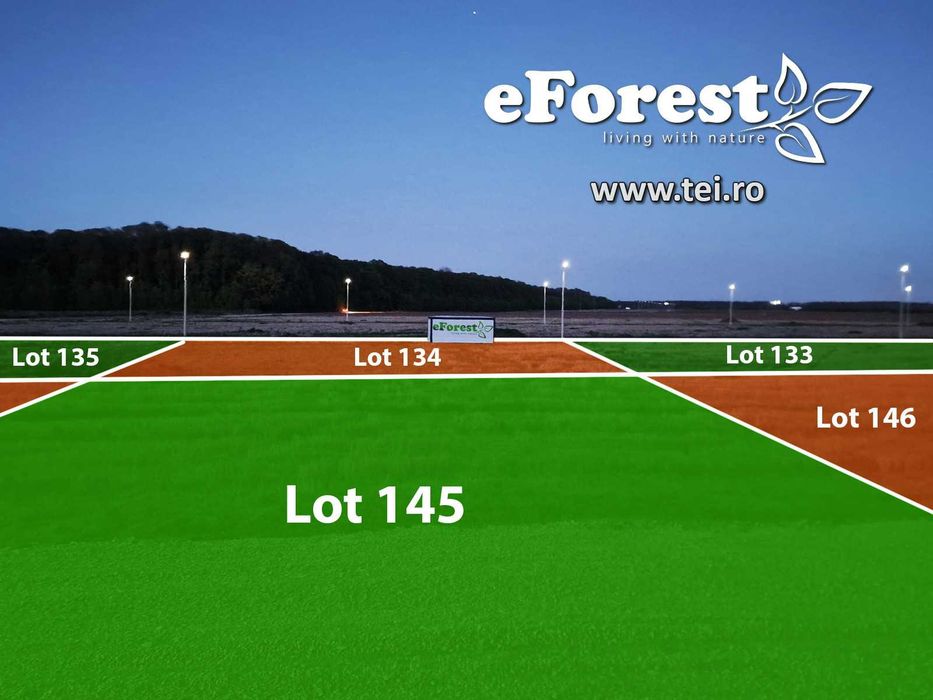 Loturi de teren în eForest, după Buftea, cu acces direct la DN1A