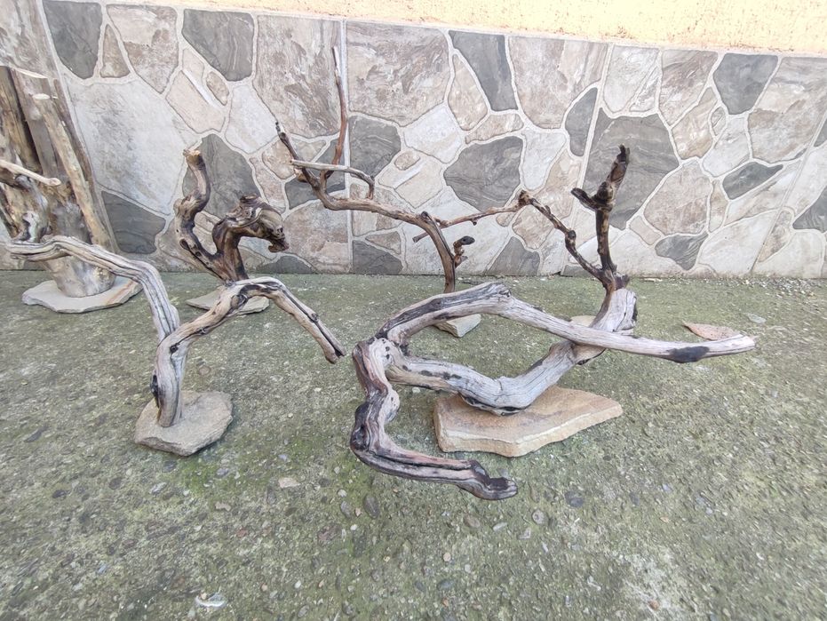 Decorațiuni acvariu - terariu