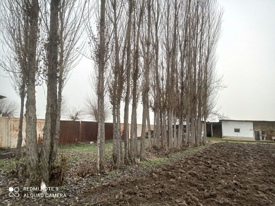 Hovli 17 sotix Qorasuv