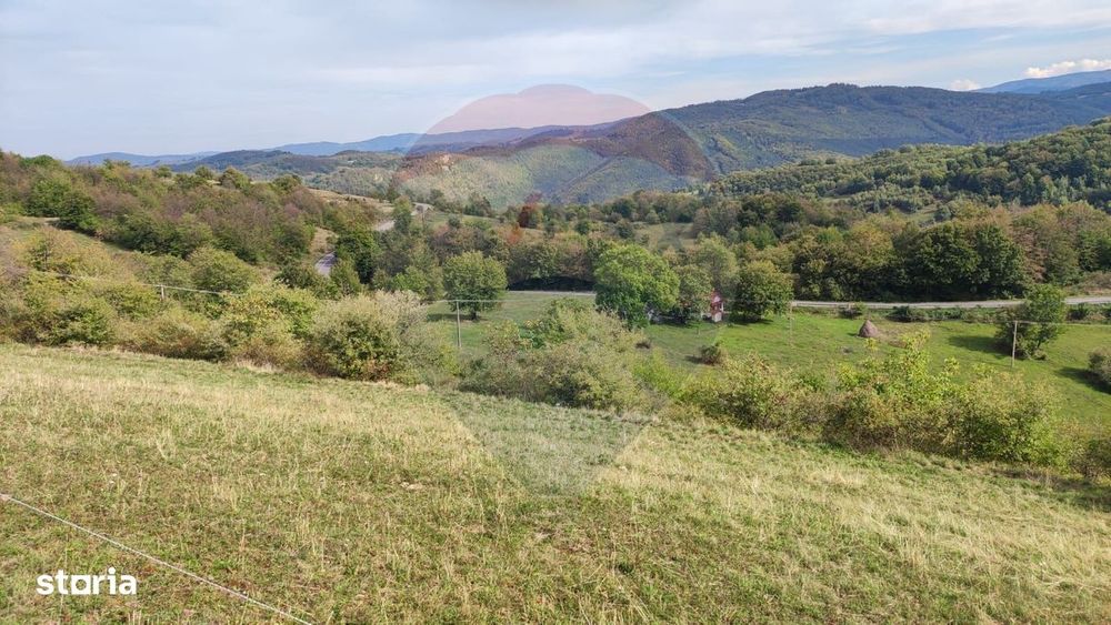 Teren constructii si faneata/livada 3082 mp Damis Bratca drum DJ 764D