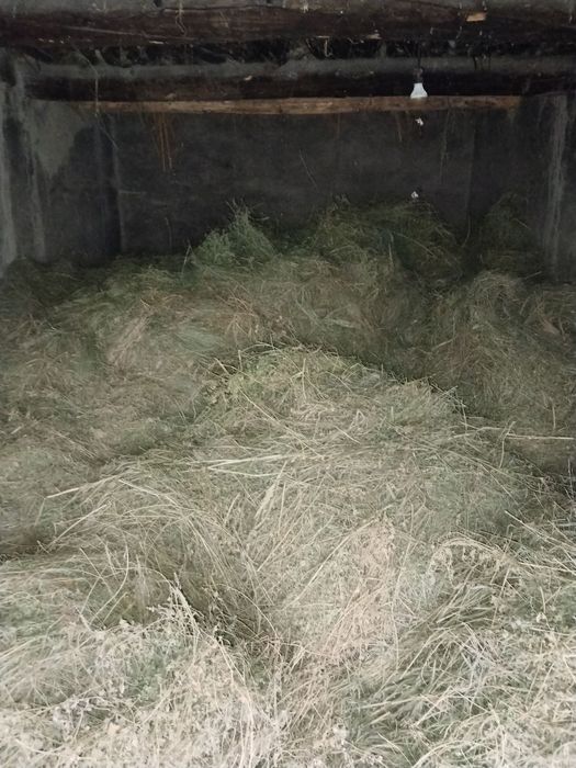 Beda sotiladi  Narxni kelshmz. Oldiganlar telvon qilsin . narxin.