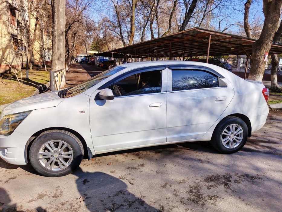 Cobolt 2020 Sroshna sotiladi