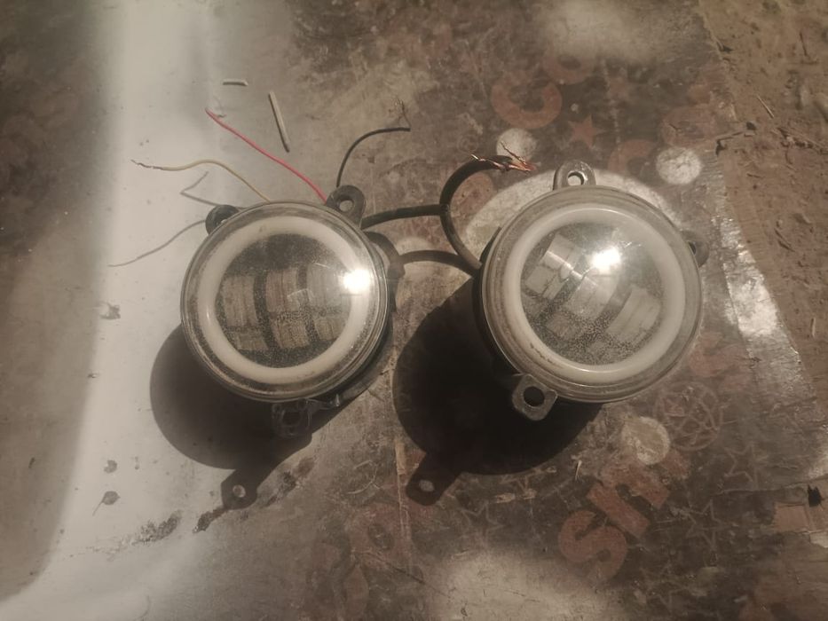 Пративо туманка приора