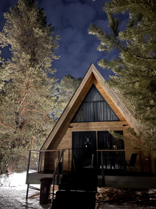 Строительство  какркасного дома