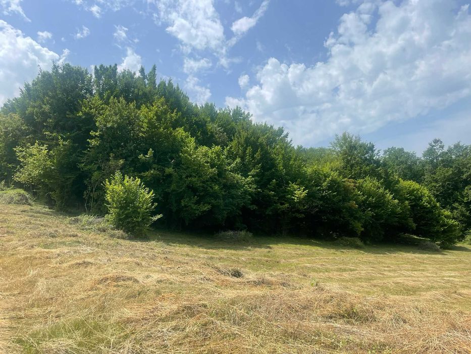 Teren extravilan de vanzare -faneata