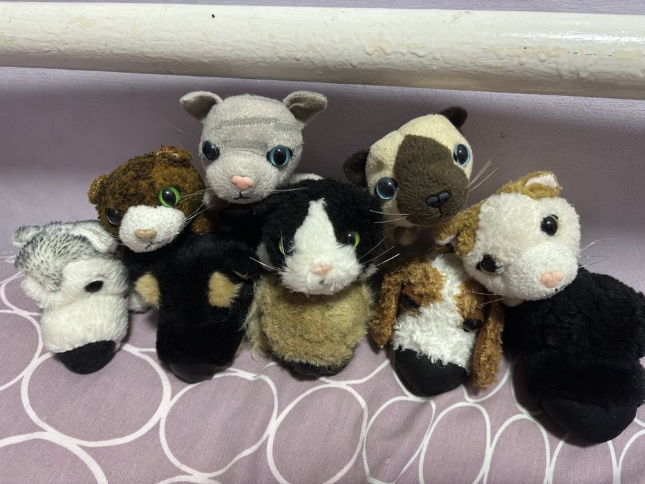 Котята и щенята игрушки