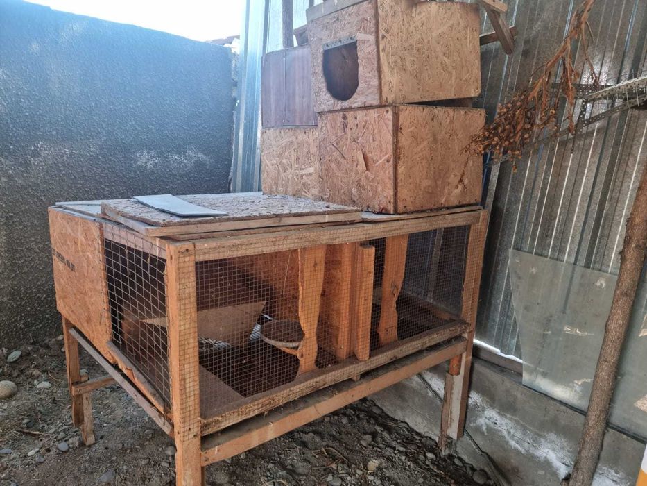 Кролятники       .