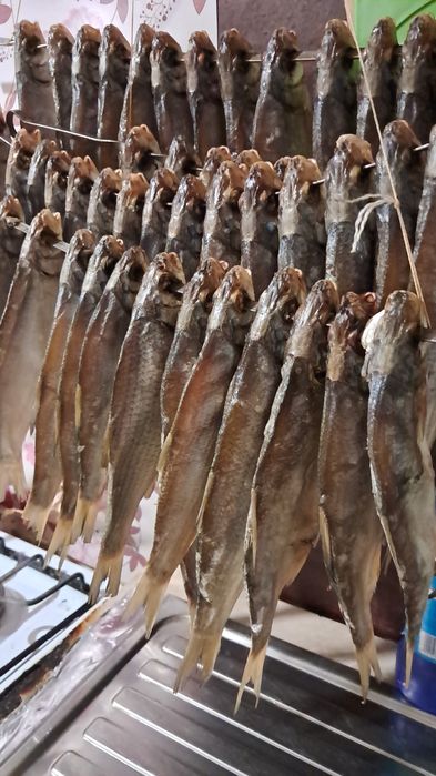 Рыба сушоная вобла и рыбец