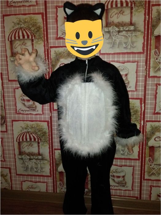 Продам костюм кота или кошки