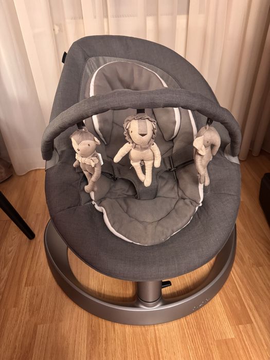 Sezlong nuna leaf grow