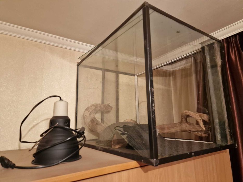 Продается террариум