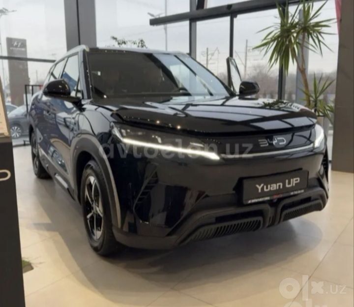Byd yuan ap 2025 toza 30000 yurgan afitsalniy