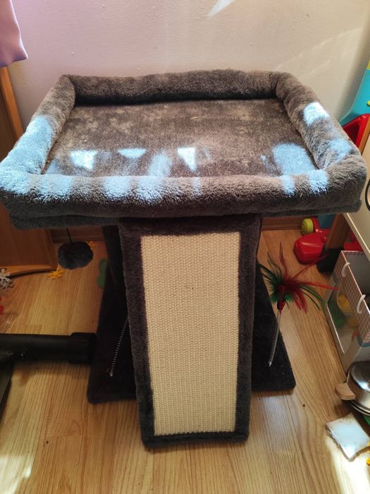 Котешка катерушка