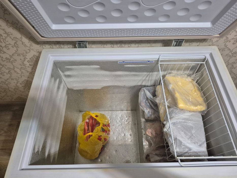 Маразмльгая камера Бирюса