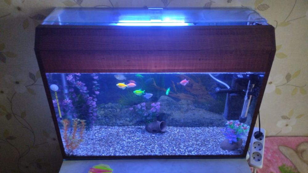 Продам аквариум со всеми принадлежностями