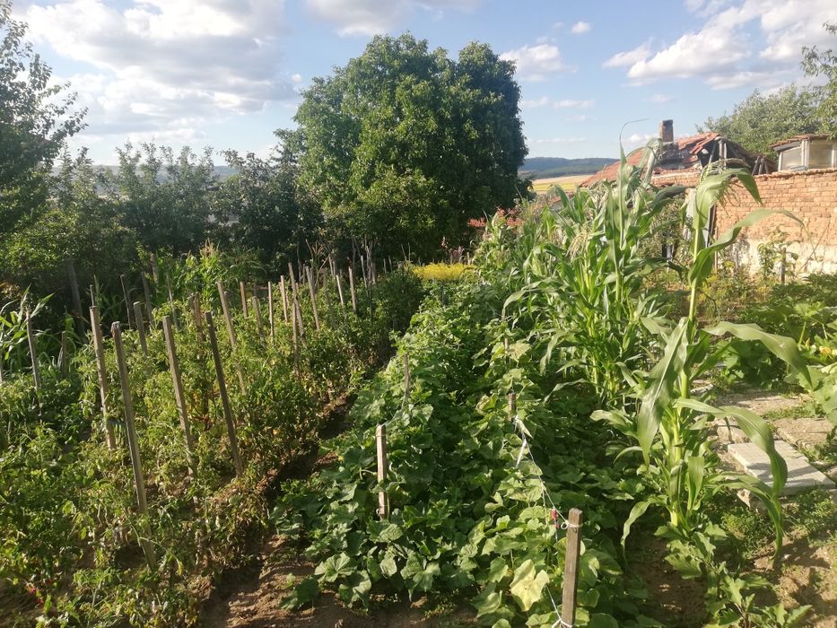 Продава се Етаж от къща в с. Петърч, Област София-област - 129 кв.м за 946 €/кв.м - Снимка #9