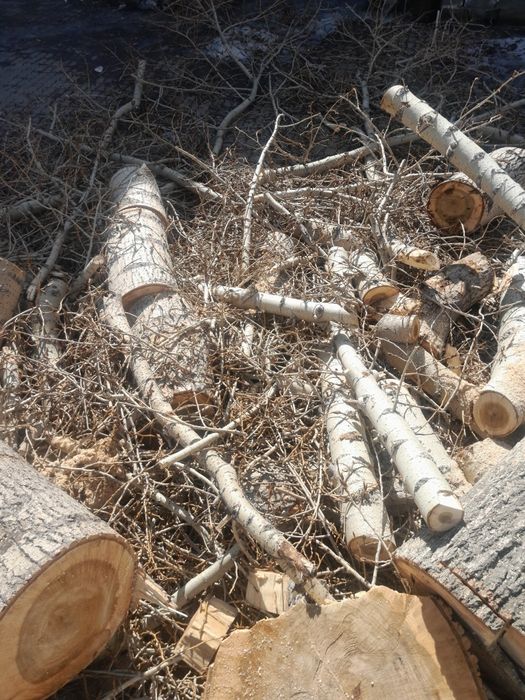 Отдам чурки бесплатно