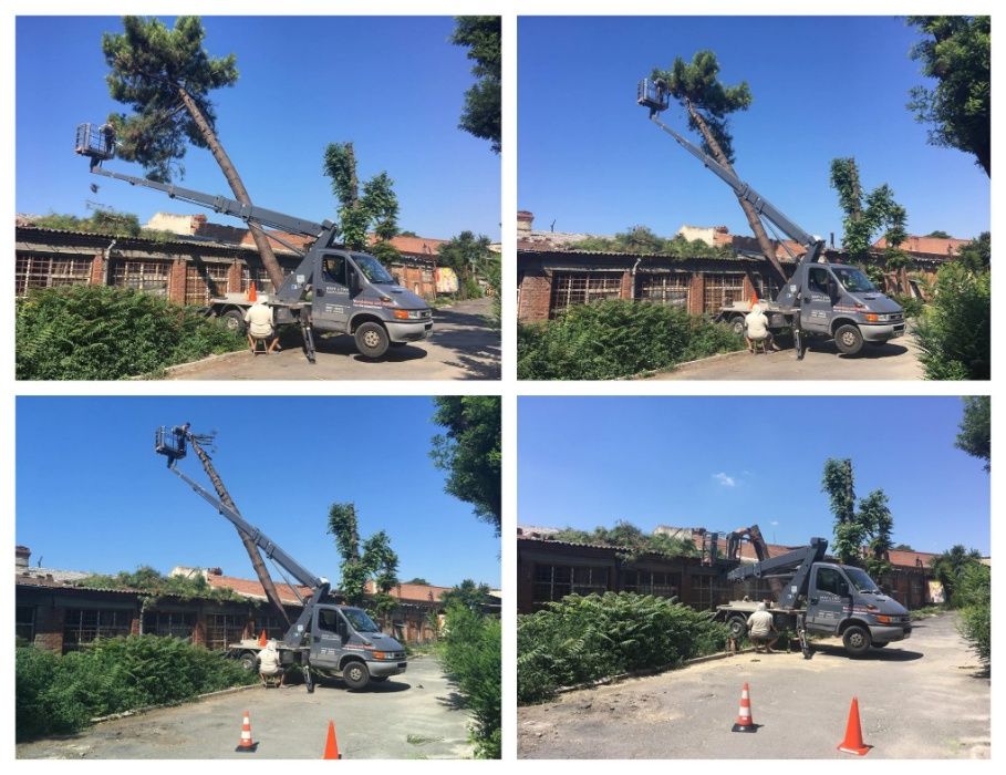 Рязане на дървета , Косене на трева, почистване на терени Варна