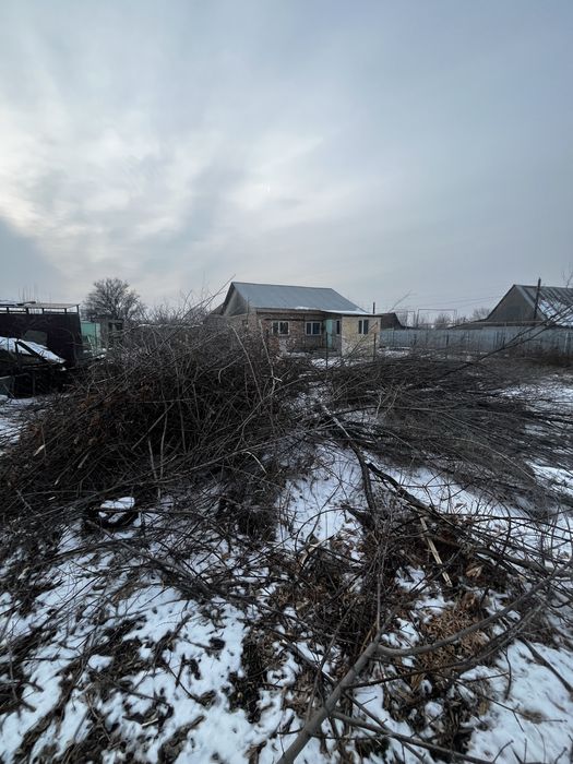 Отын тегін беоем