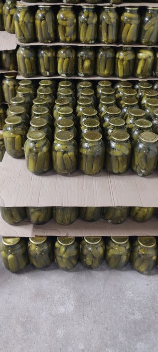 Огурцы маринованные домашние