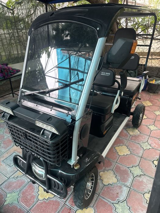Электрогольфкар ECO BIKE 2025