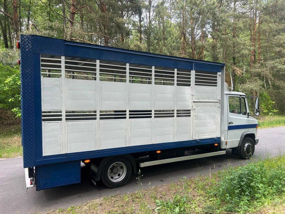 Transport animale vii – Autorizat DSVSA