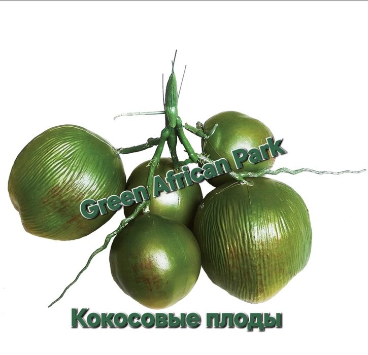 Пальмовы  листья