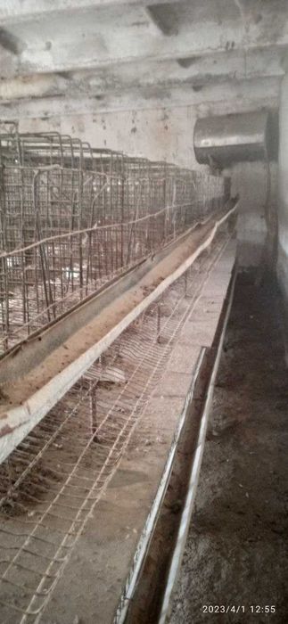 Товук бокиш учун сеткалар