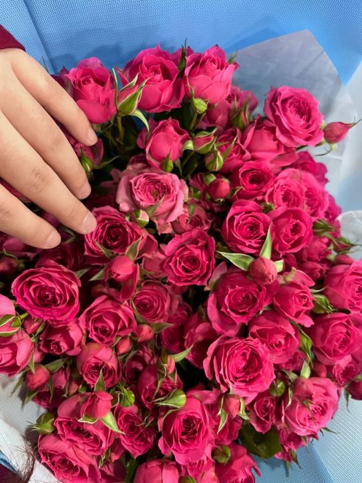 Цветы кустовые розы 15шт