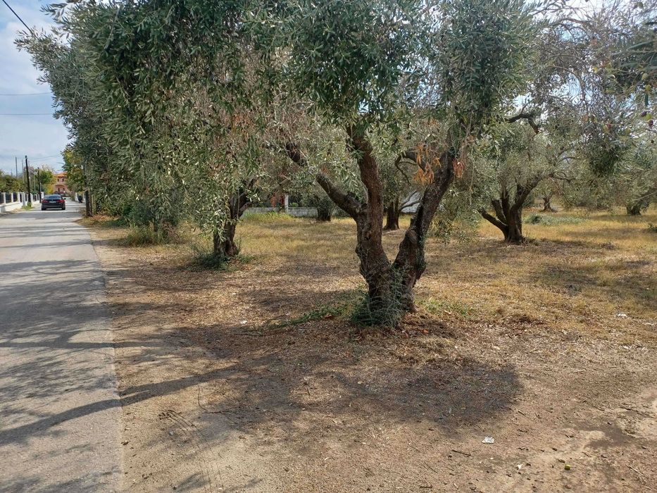 Продава парцел с площ 1380 м2 в регулация в Паралия Врасна, Гърция