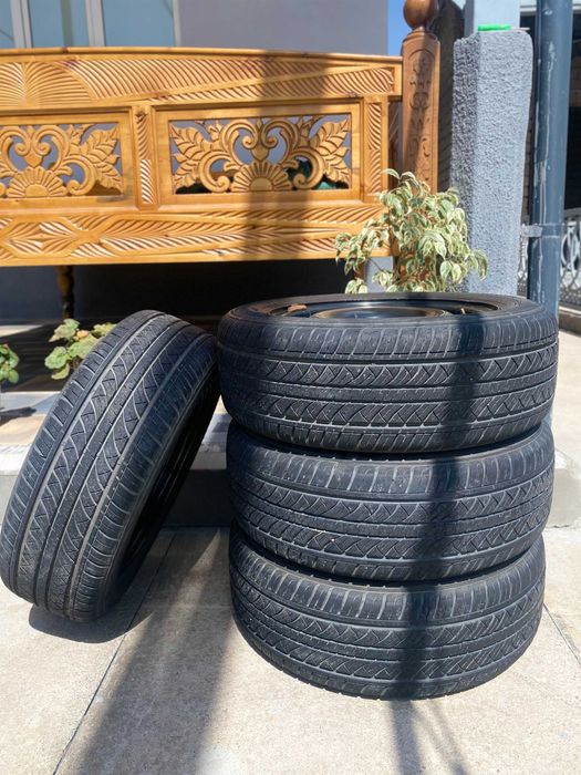 NeoLine - NeoTour avtobalonlari