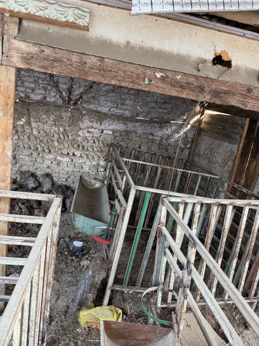 Клетка куй катак