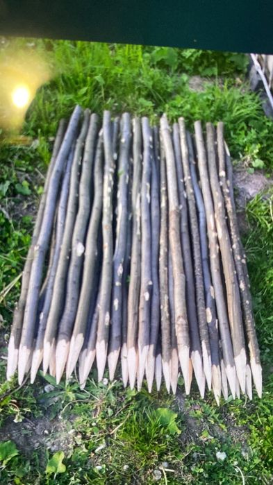 Lemn foc salcim și araci vie și roșii