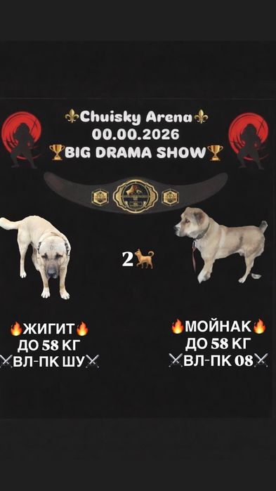 лативщвтащвтщатащат