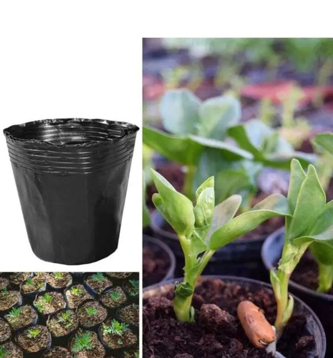 Стаканчики для рассады