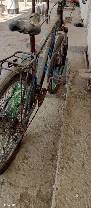 Velosioed. Forword, tuzatib haydadh uchun zoʻr tanlov.