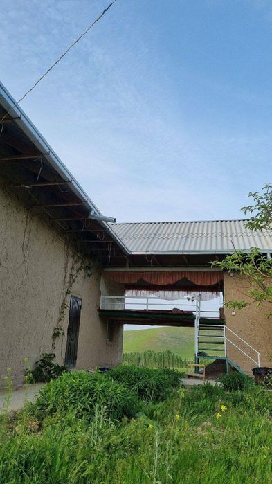 Zomin pishaxar(Kadastri uchaska) dacha xovli sotiladi kelishtirib b/di