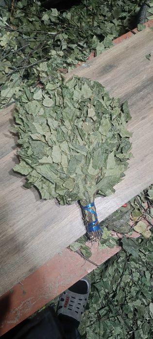 Веники берёзовые банные