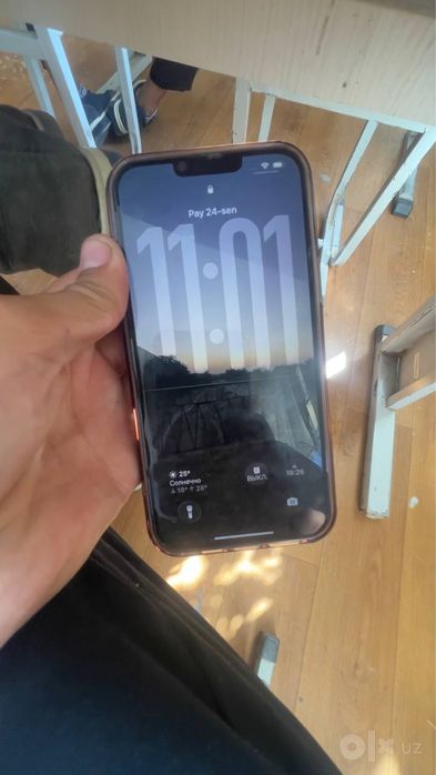 Iphone 13 pro maxx