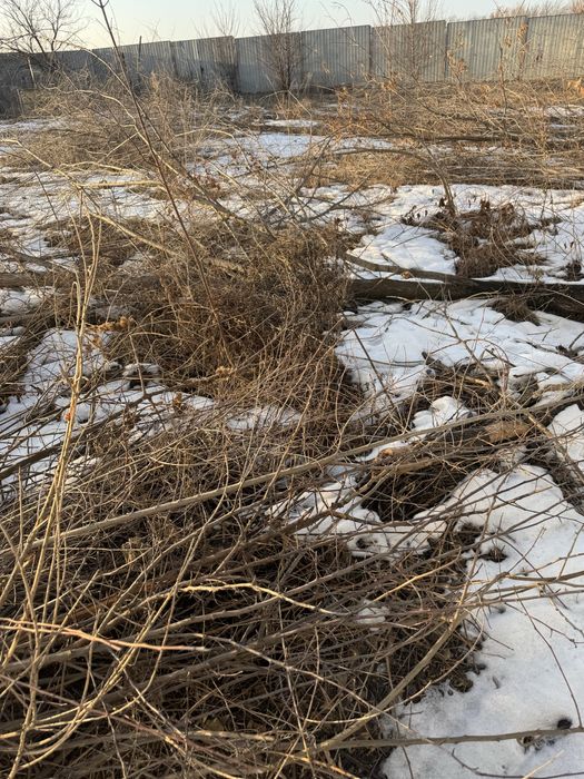 Дровы карагач куб