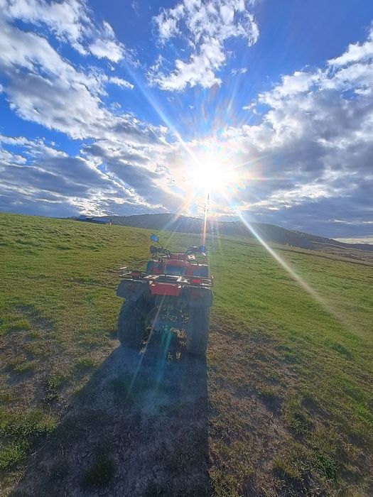 Vând atv 250 cc poate fi și dat la  schimb +diferența