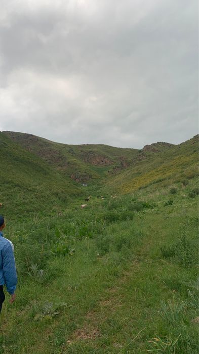 Продам участок в горах 20гек