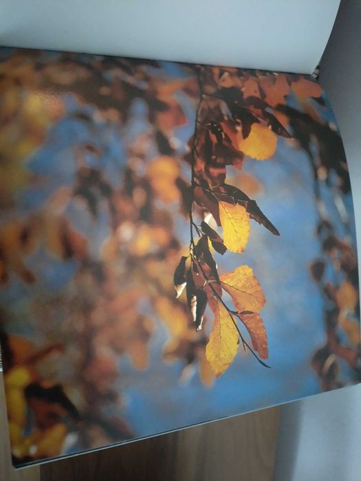 Книга от Германия със снимки от природата