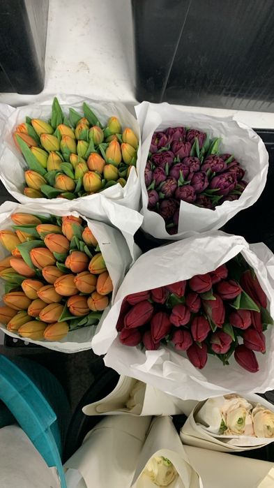 Тюльпаны к праздникам Атырау